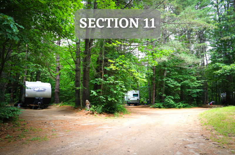 Section11