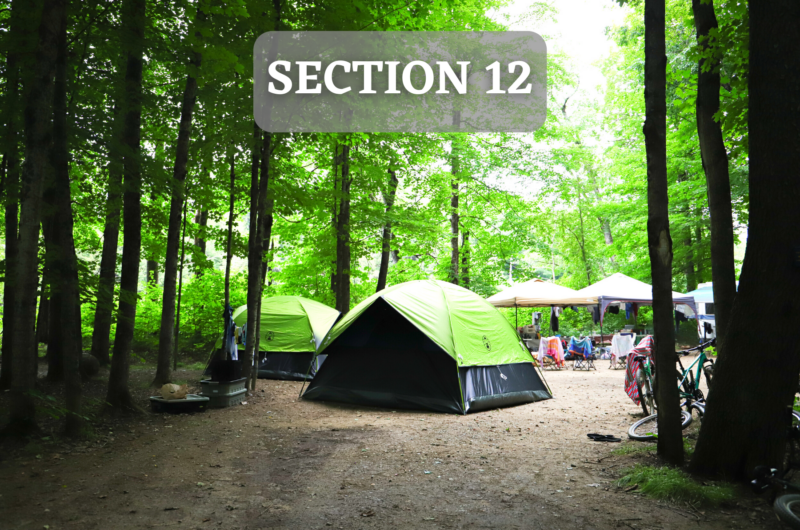 Section12